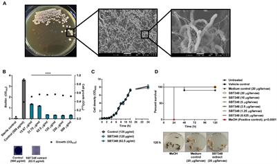 A New Bioactive Compound From the Marine Sponge-Derived Streptomyces sp. SBT348 Inhibits Staphylococcal Growth and Biofilm Formation